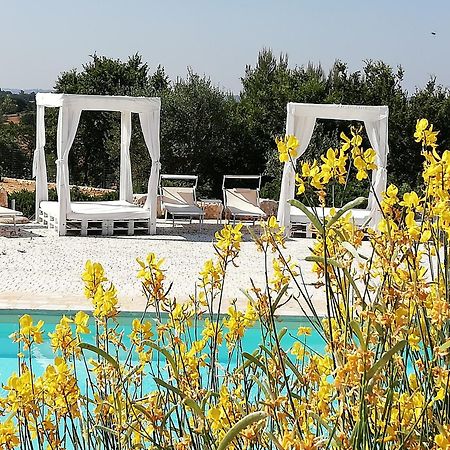 Marinelli Guest House Cisternino Zewnętrze zdjęcie