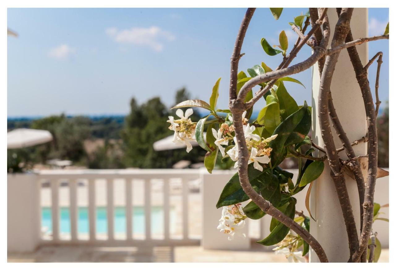 Marinelli Guest House Cisternino Zewnętrze zdjęcie