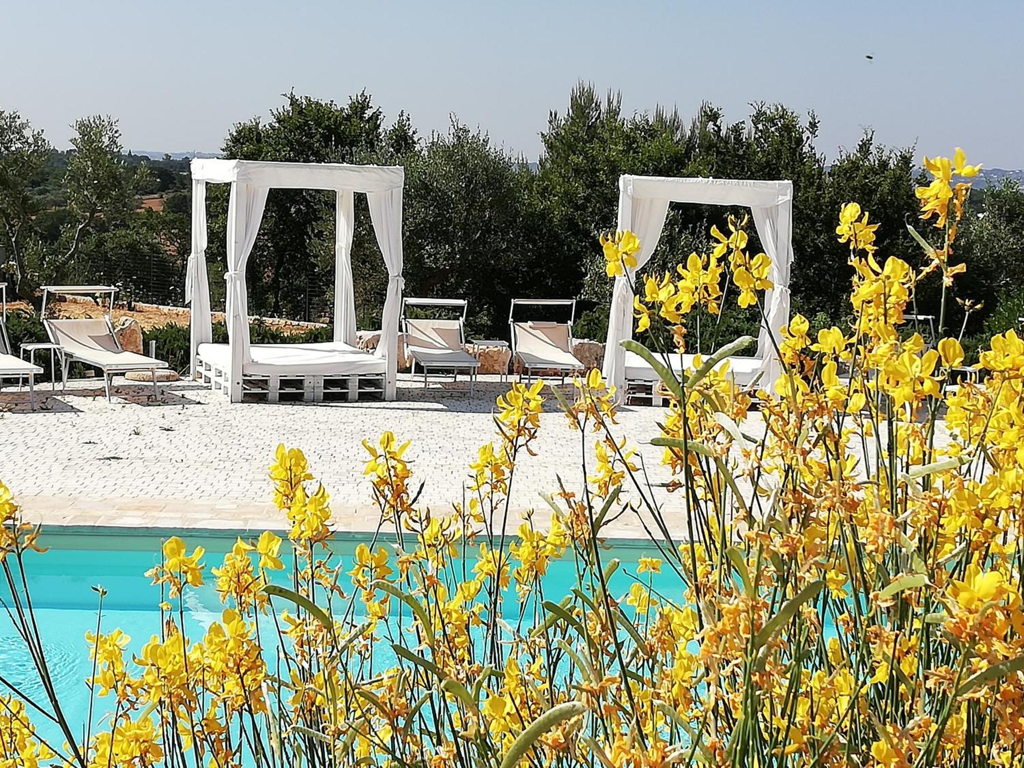 Marinelli Guest House Cisternino Zewnętrze zdjęcie